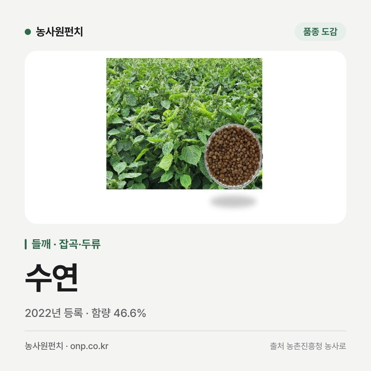수연