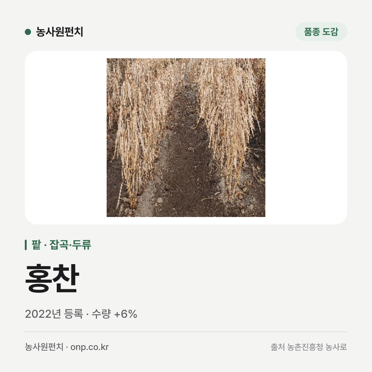 홍찬
