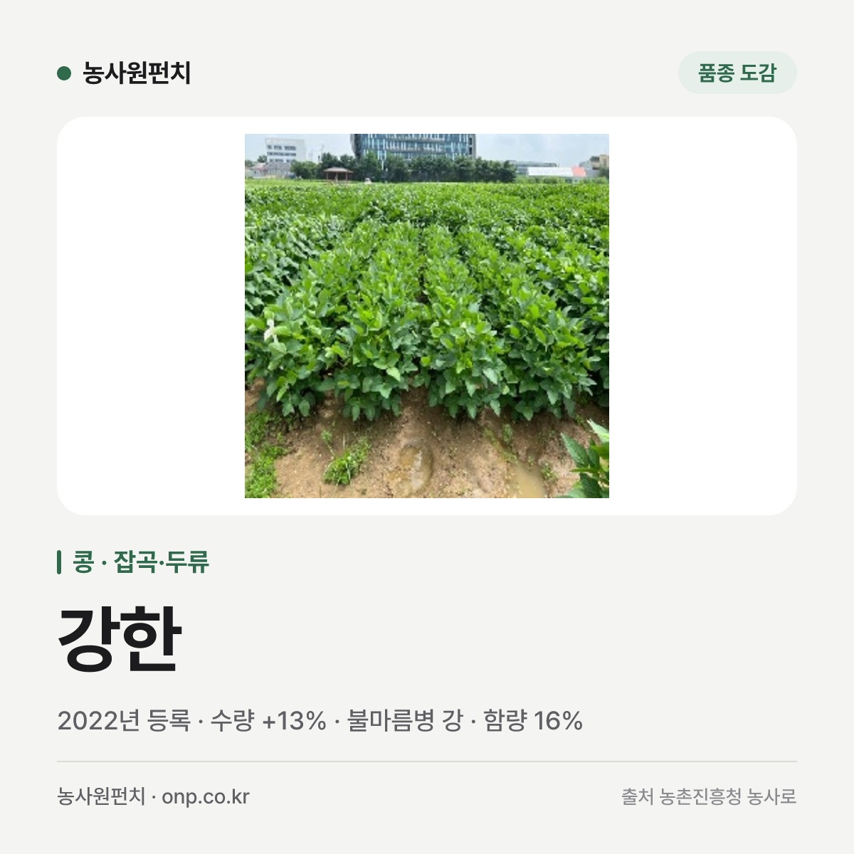 강한
