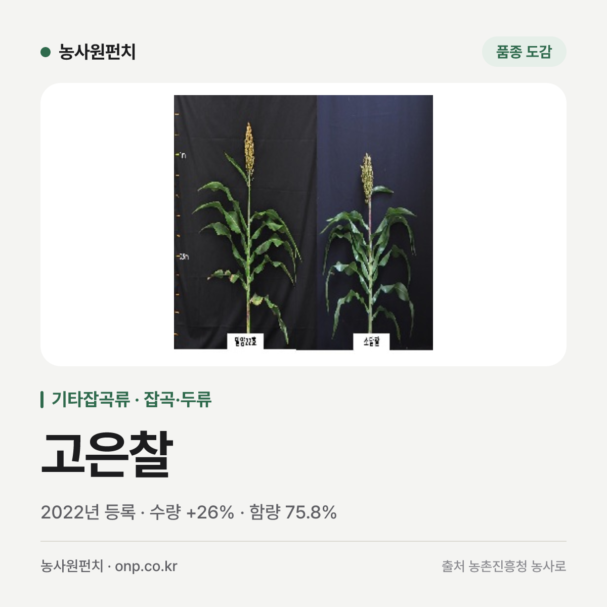 고은찰