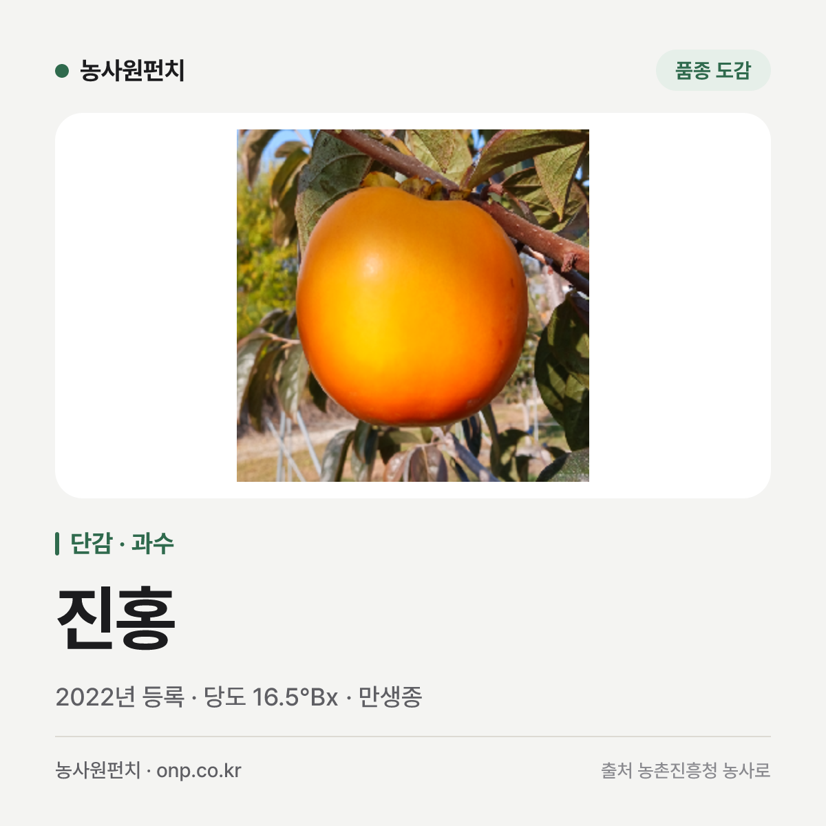 진홍