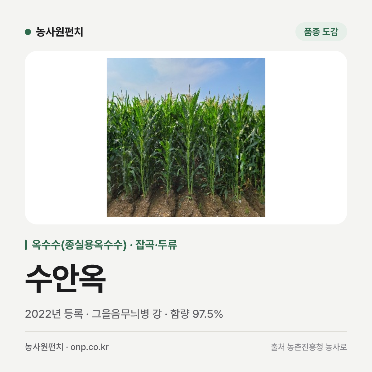 수안옥