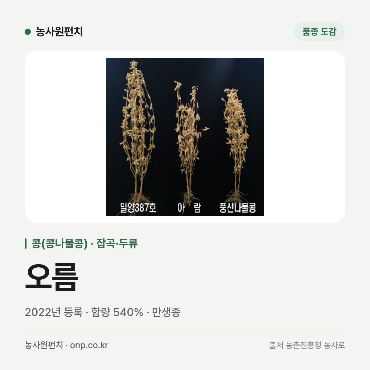 오름