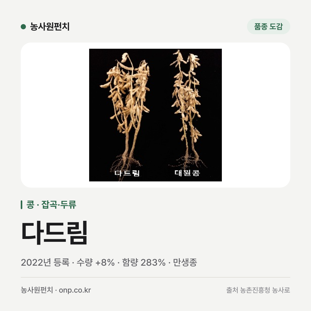 다드림
