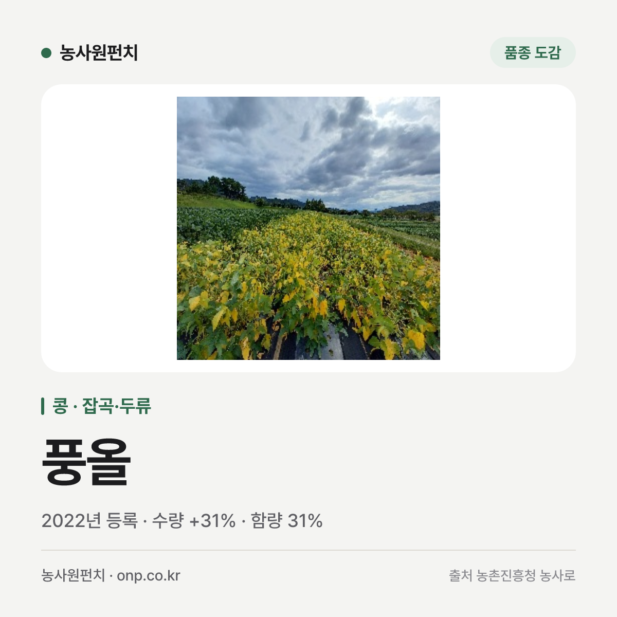 풍올