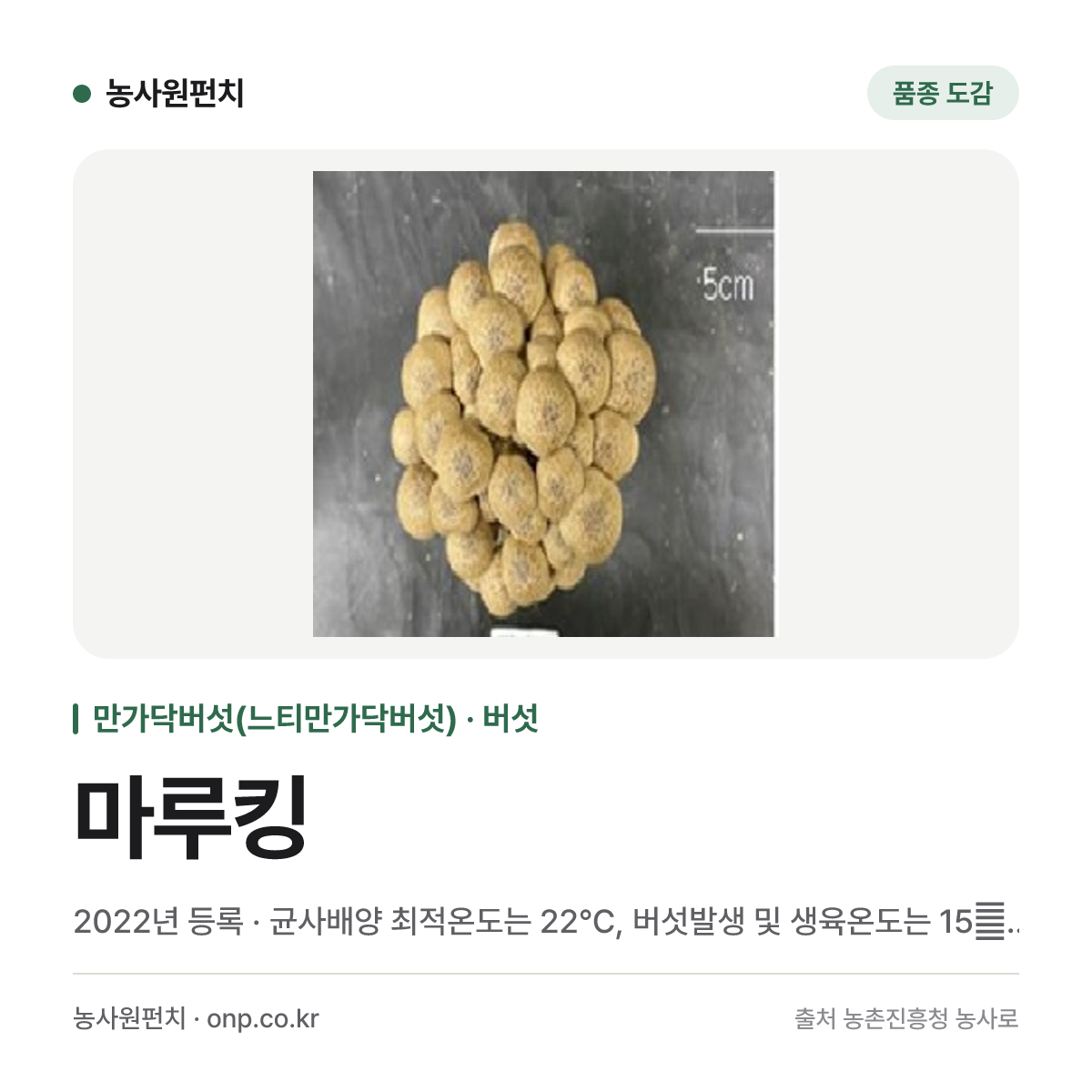마루킹