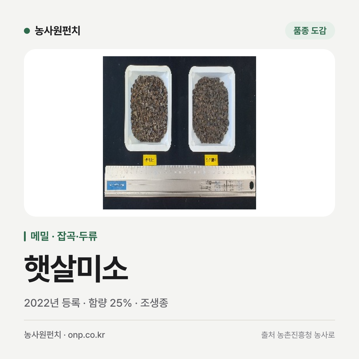 햇살미소