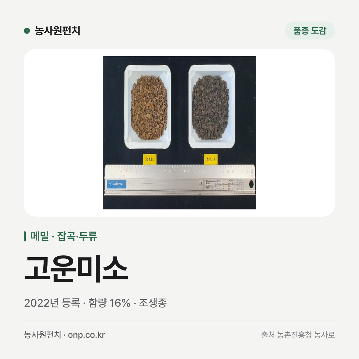 고운미소