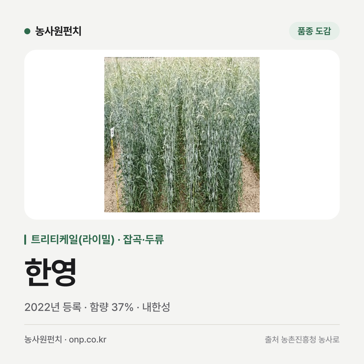 한영