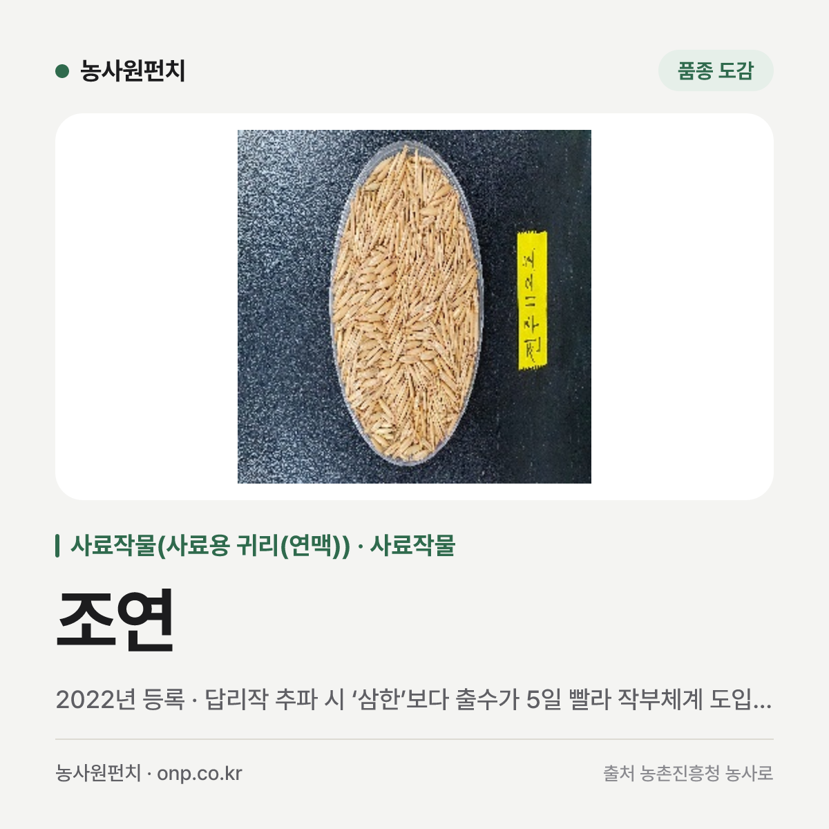 조연