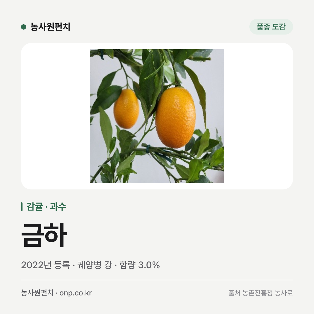 금하