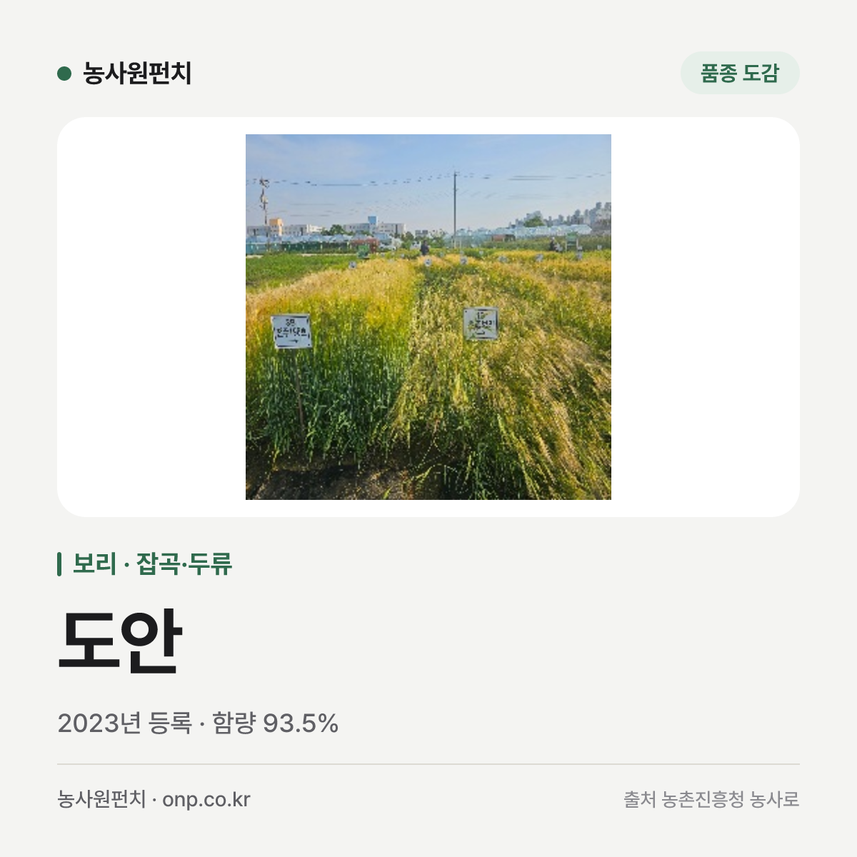 도안