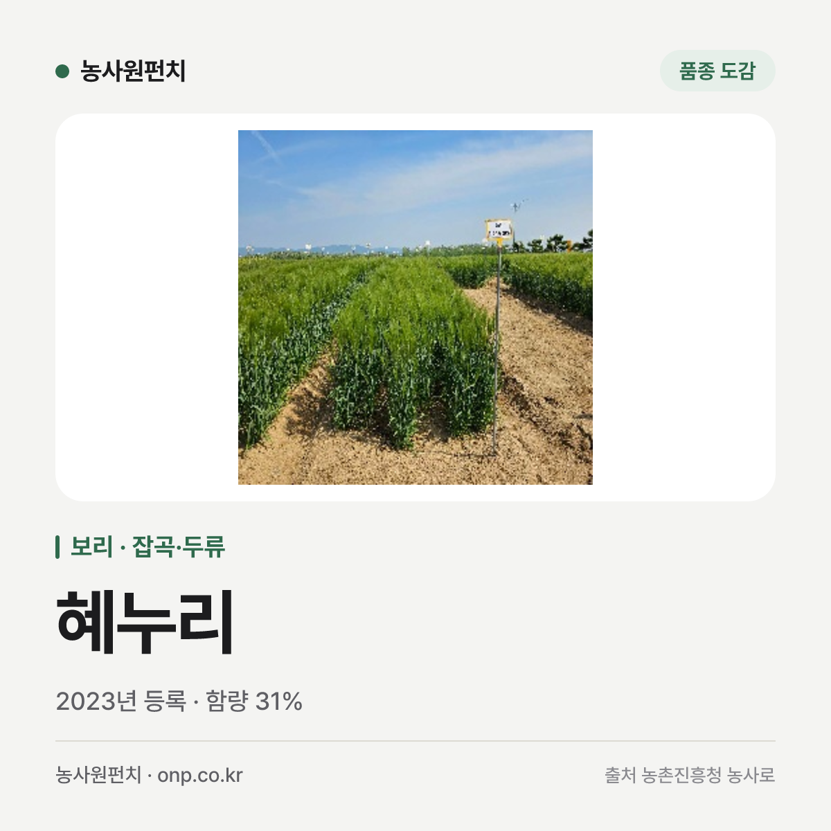혜누리