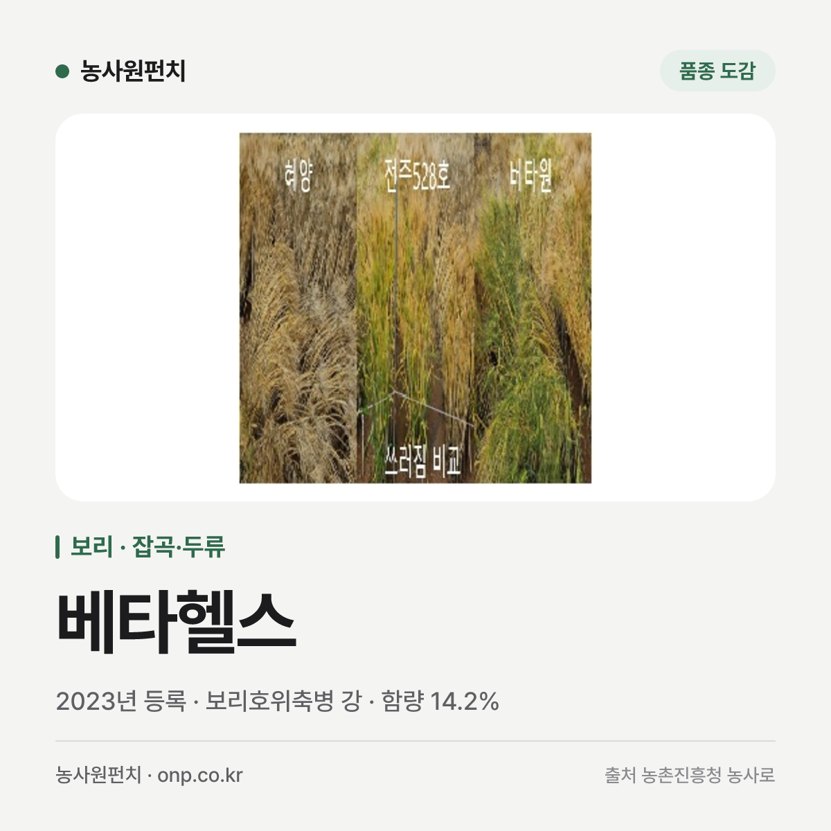 베타헬스