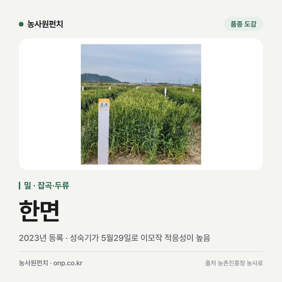 한면