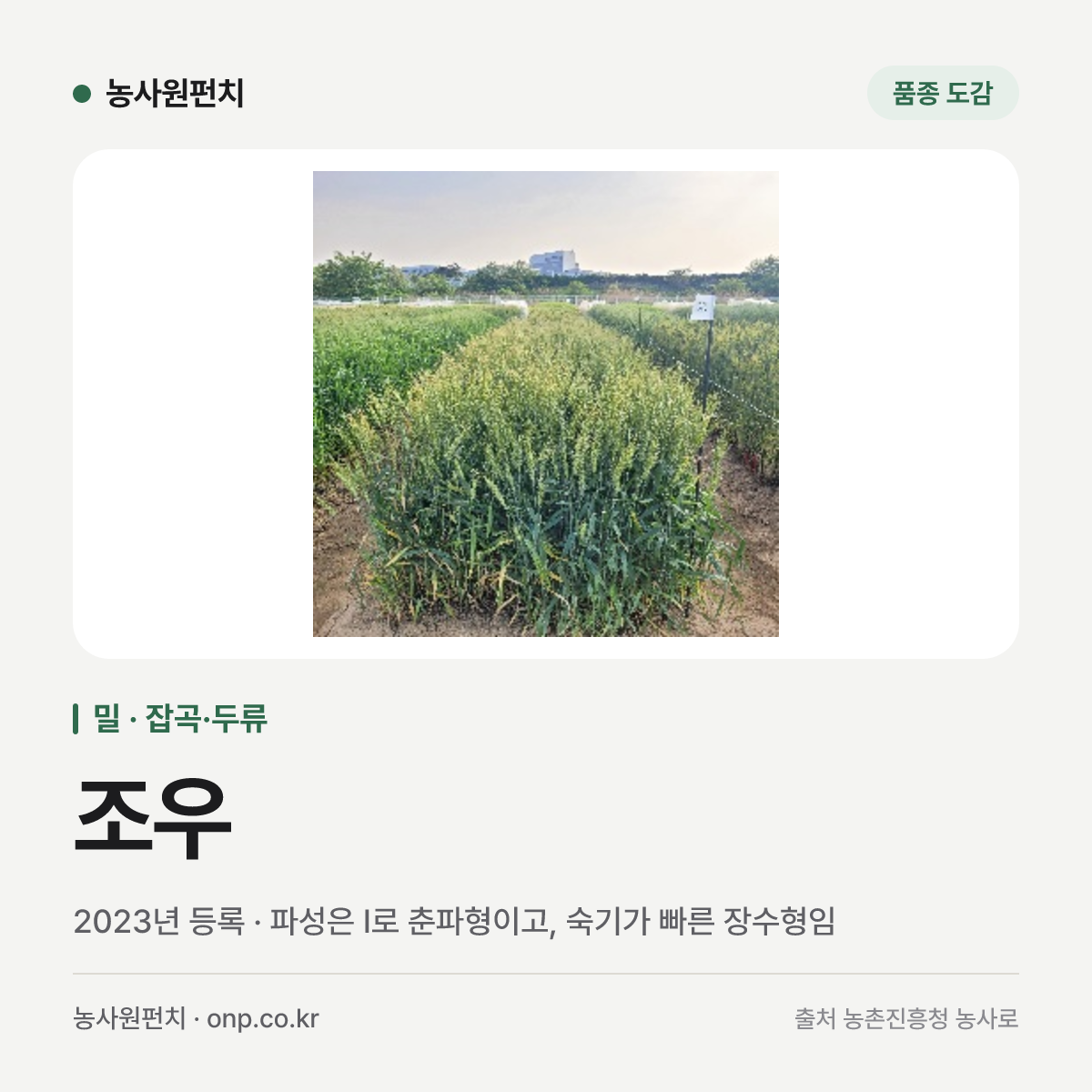 조우