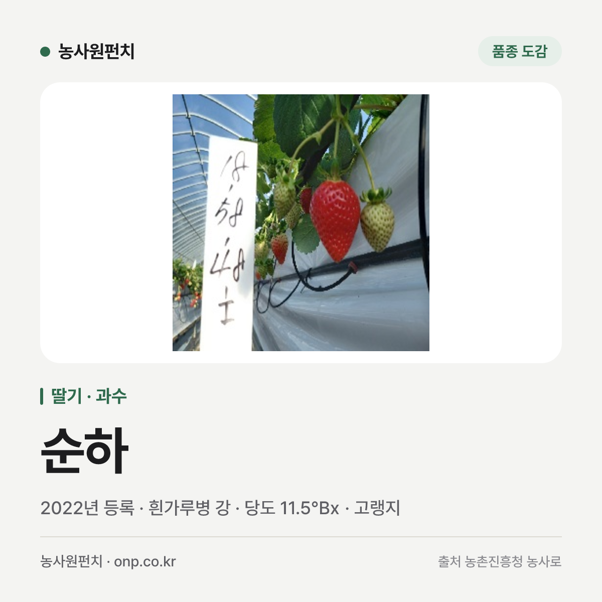 순하
