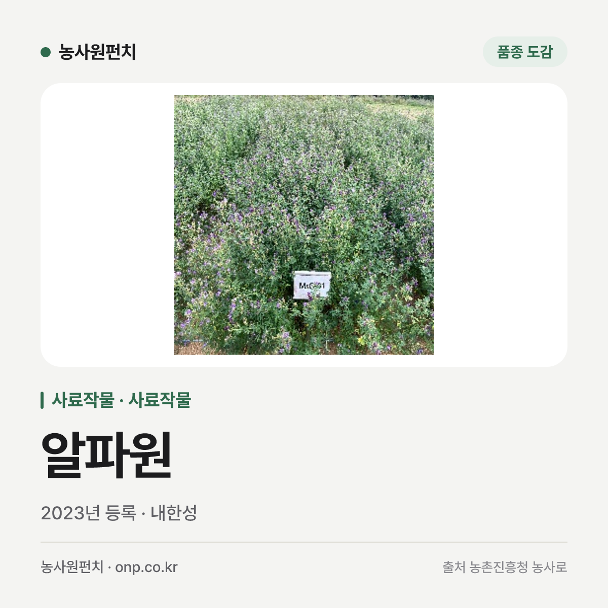 알파원