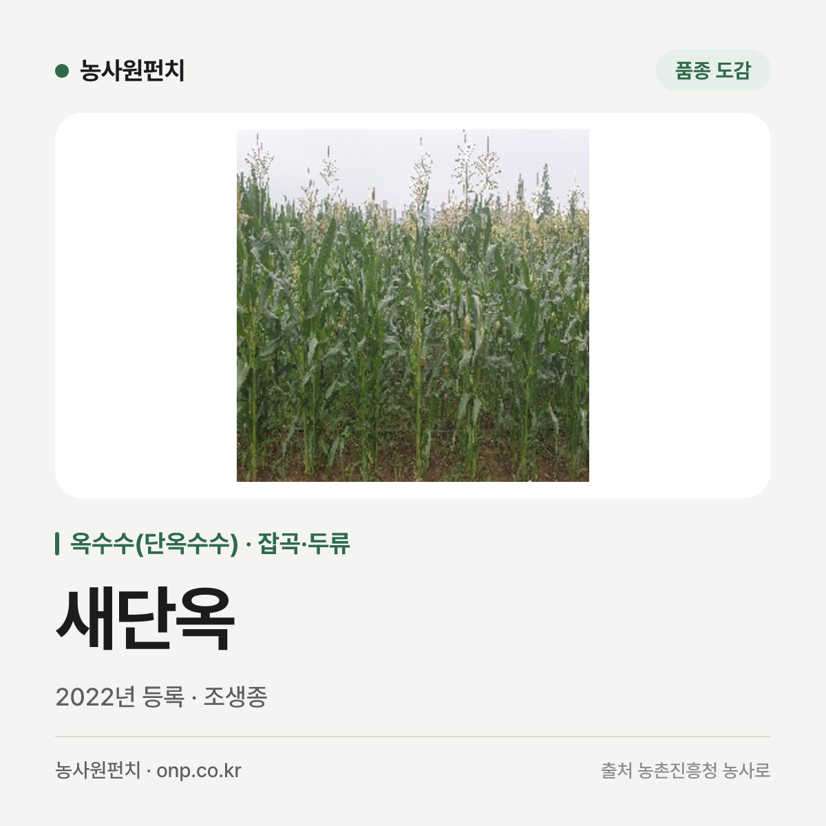 새단옥