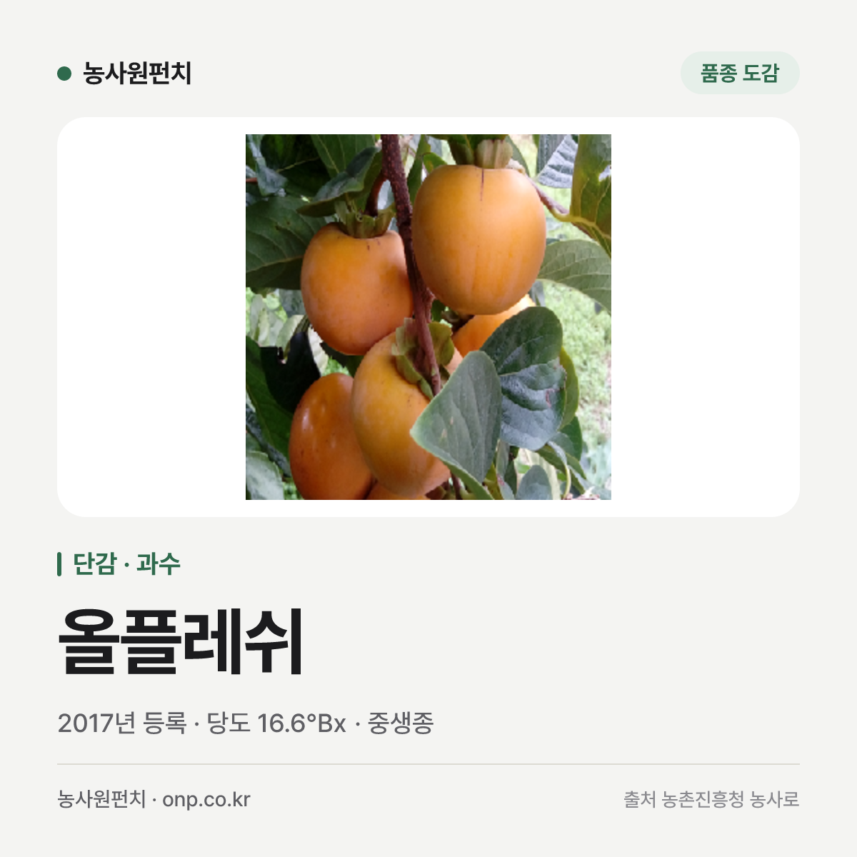올플레쉬