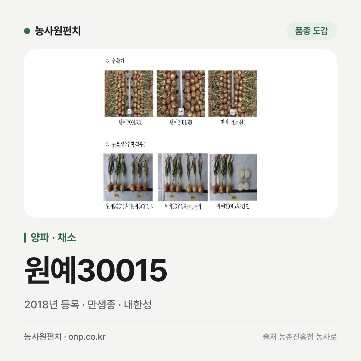 원예30015