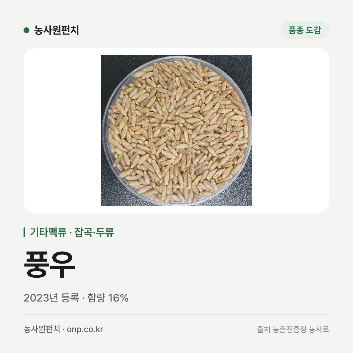 풍우