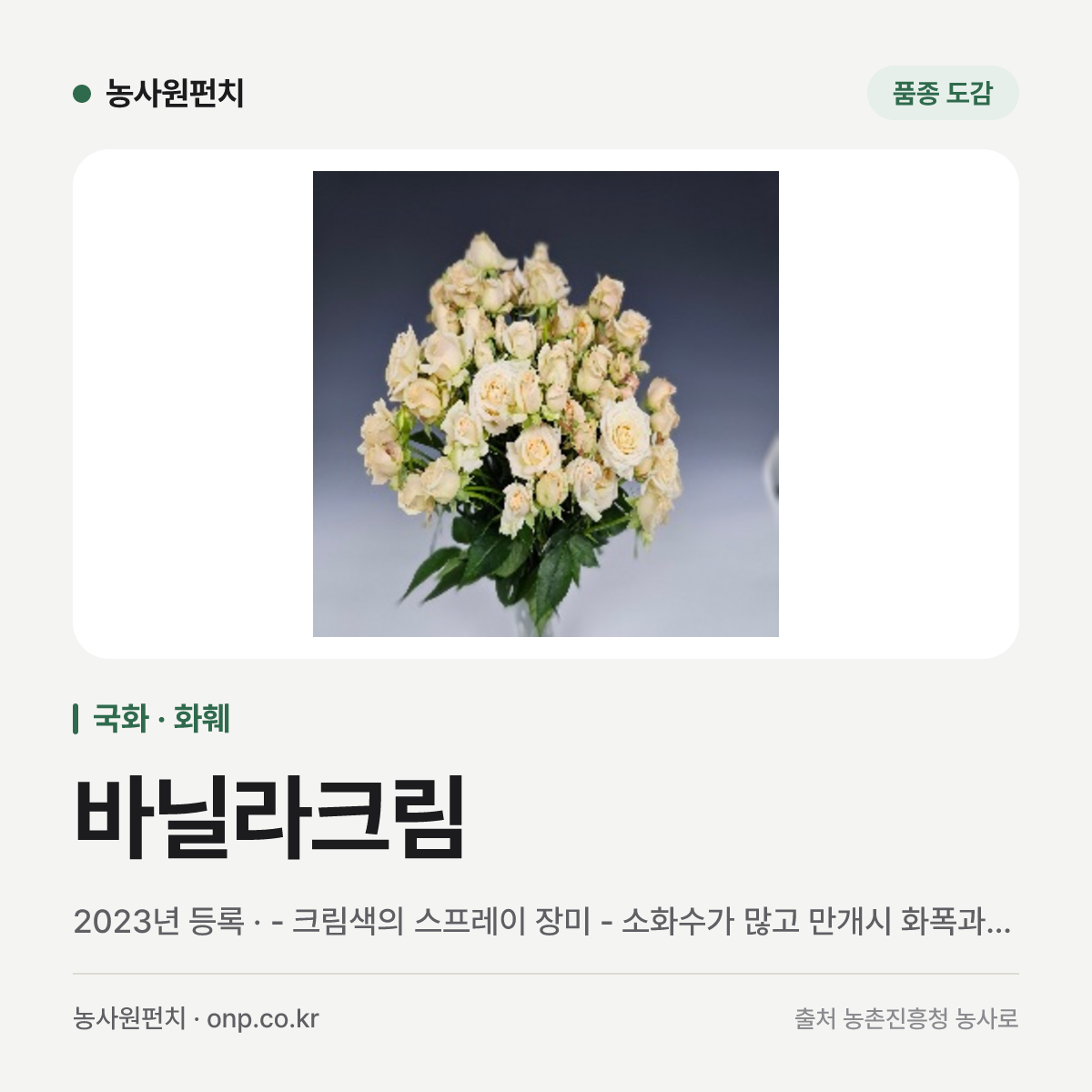 바닐라크림