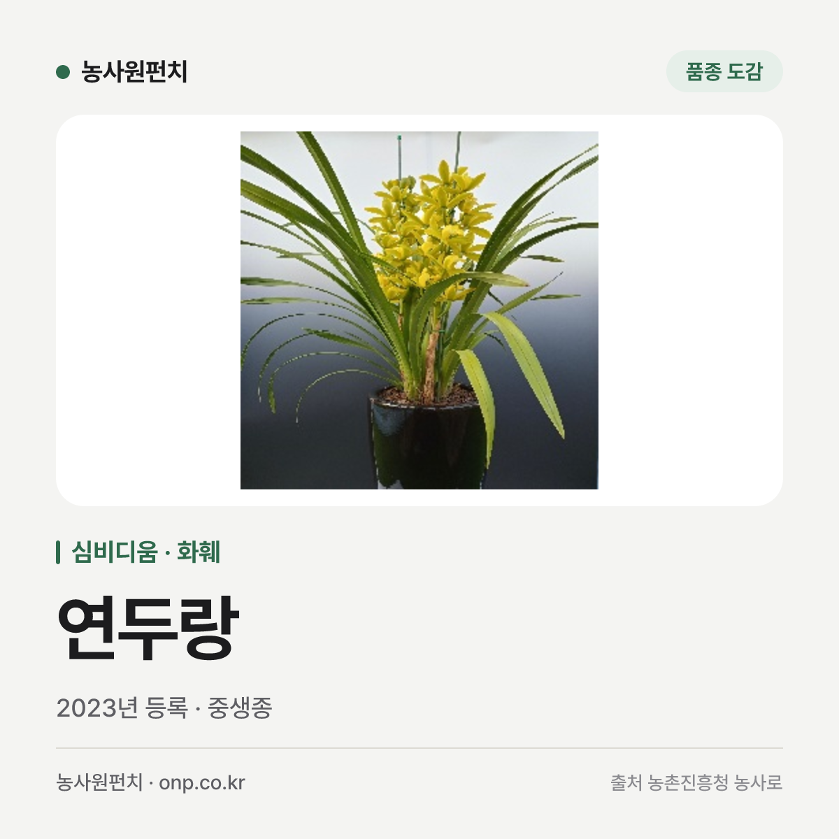 연두랑