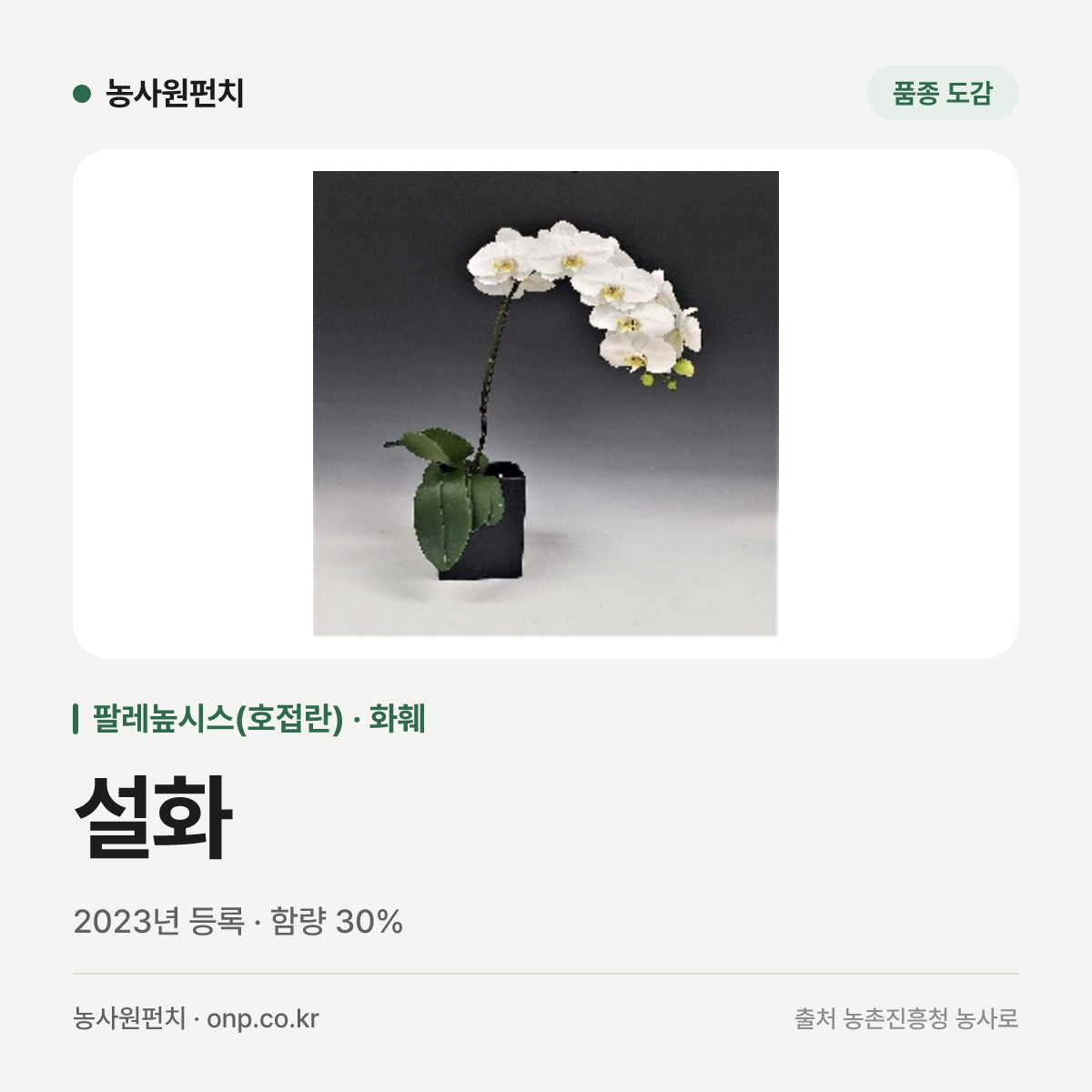 설화