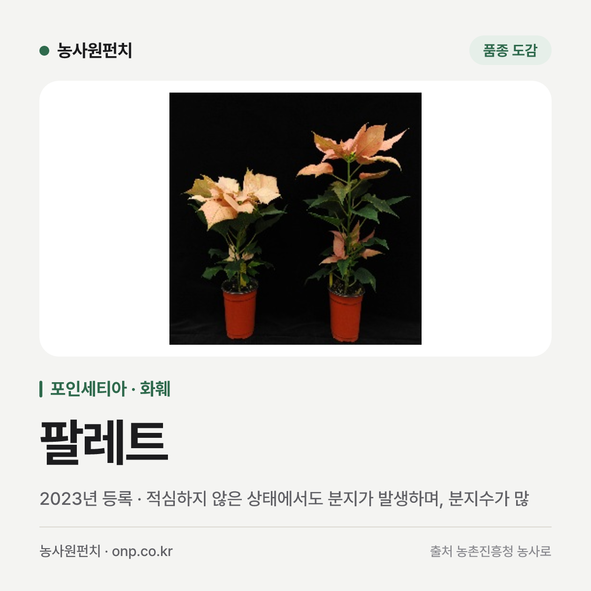 팔레트