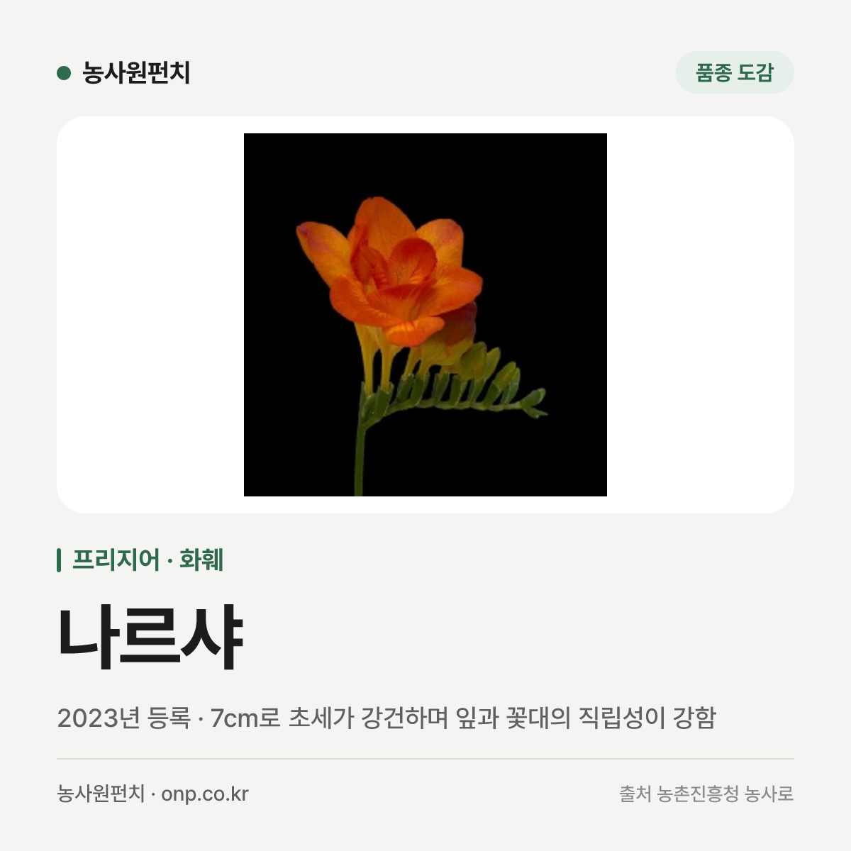 나르샤