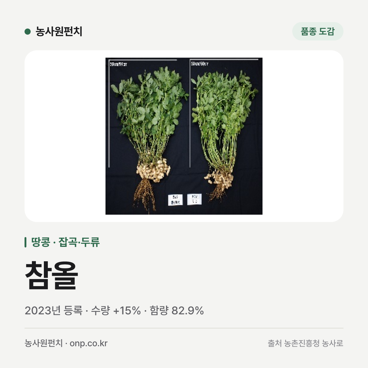 참올