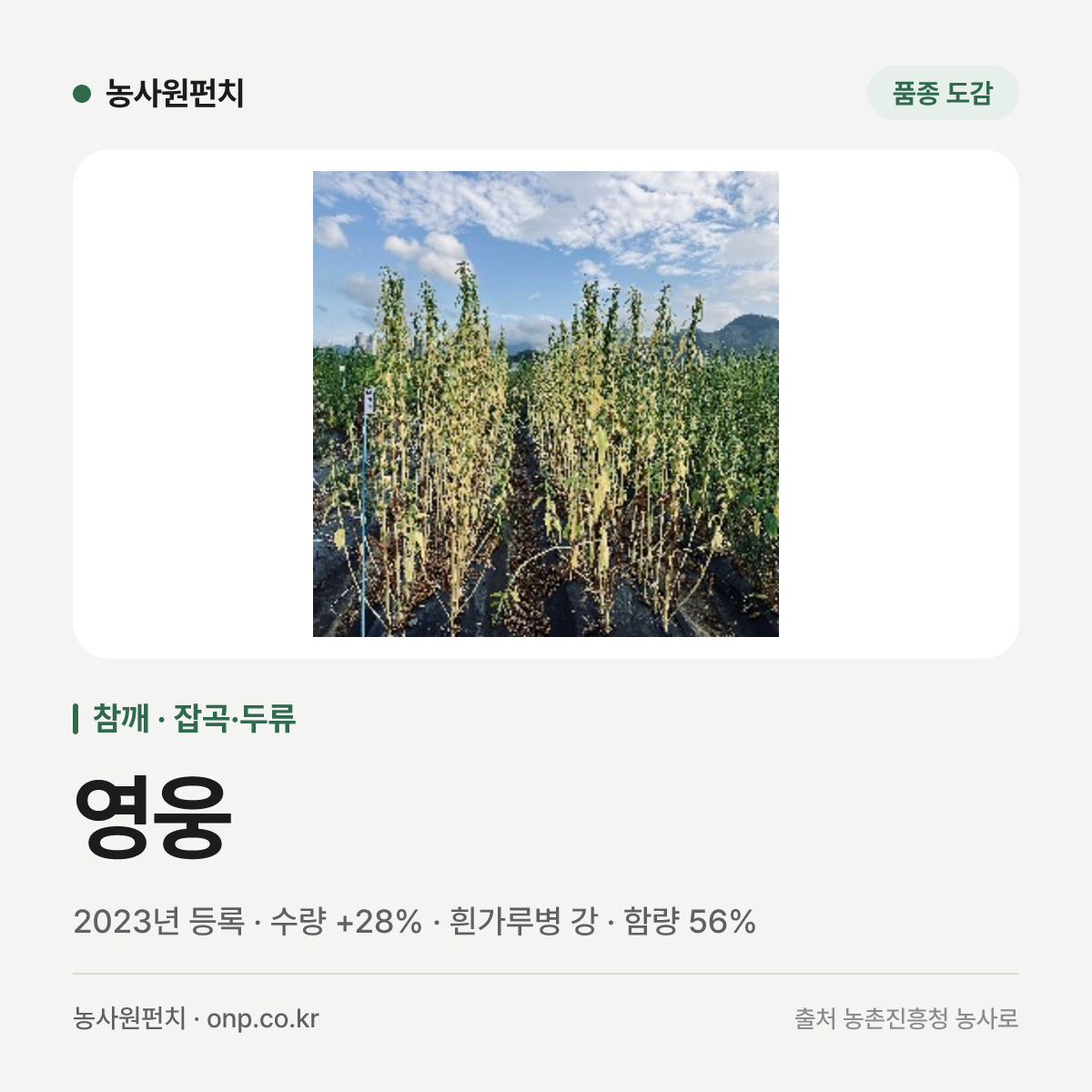 영웅