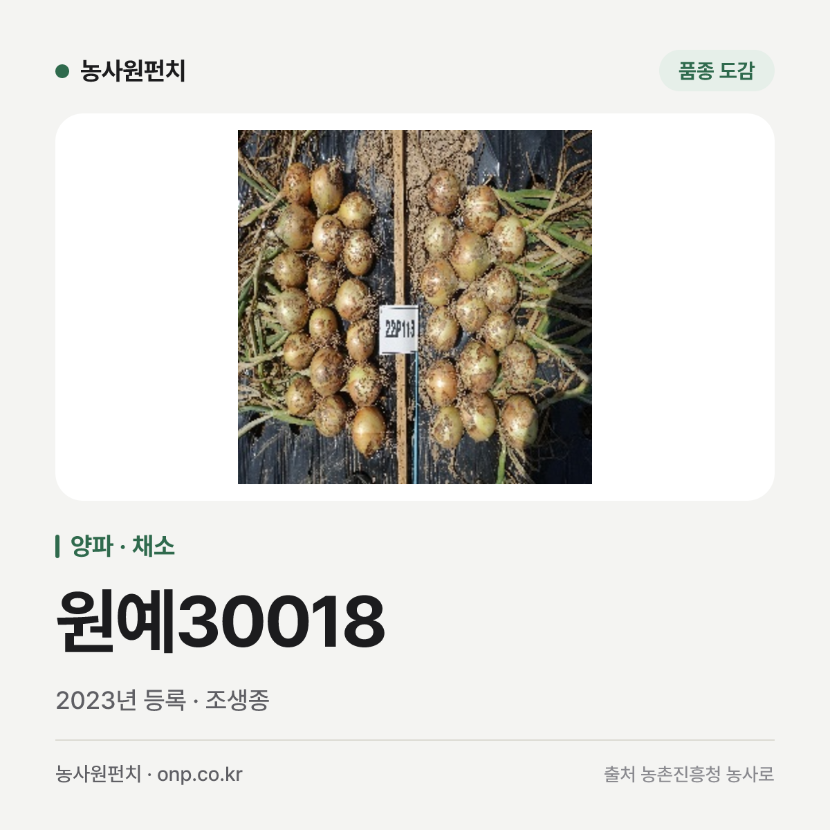 원예30018
