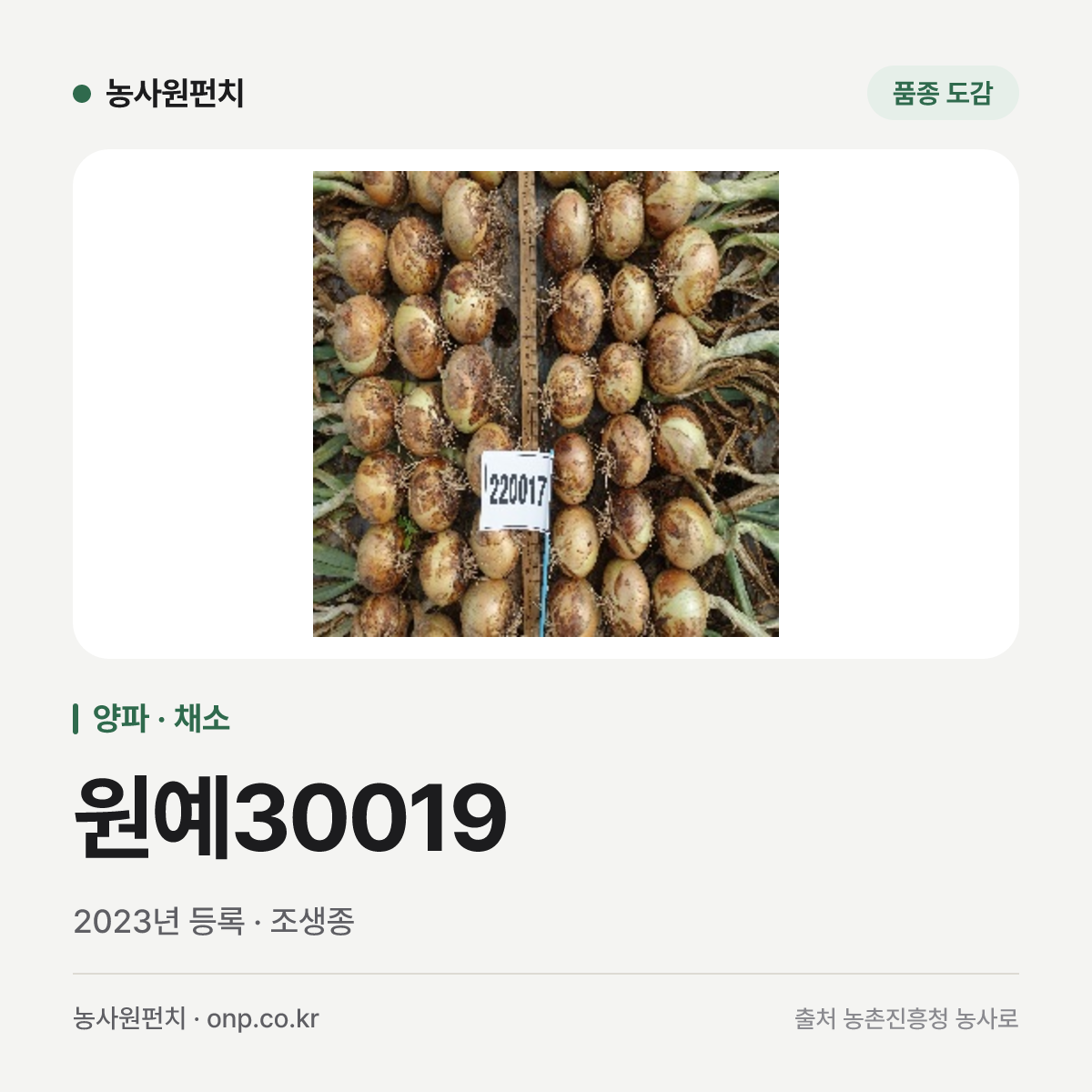 원예30019
