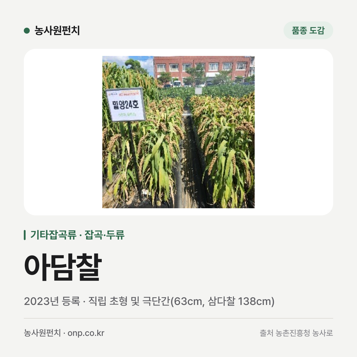 아담찰
