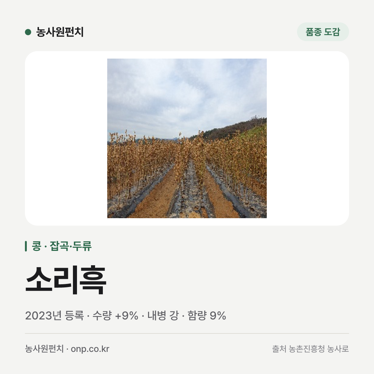 소리흑