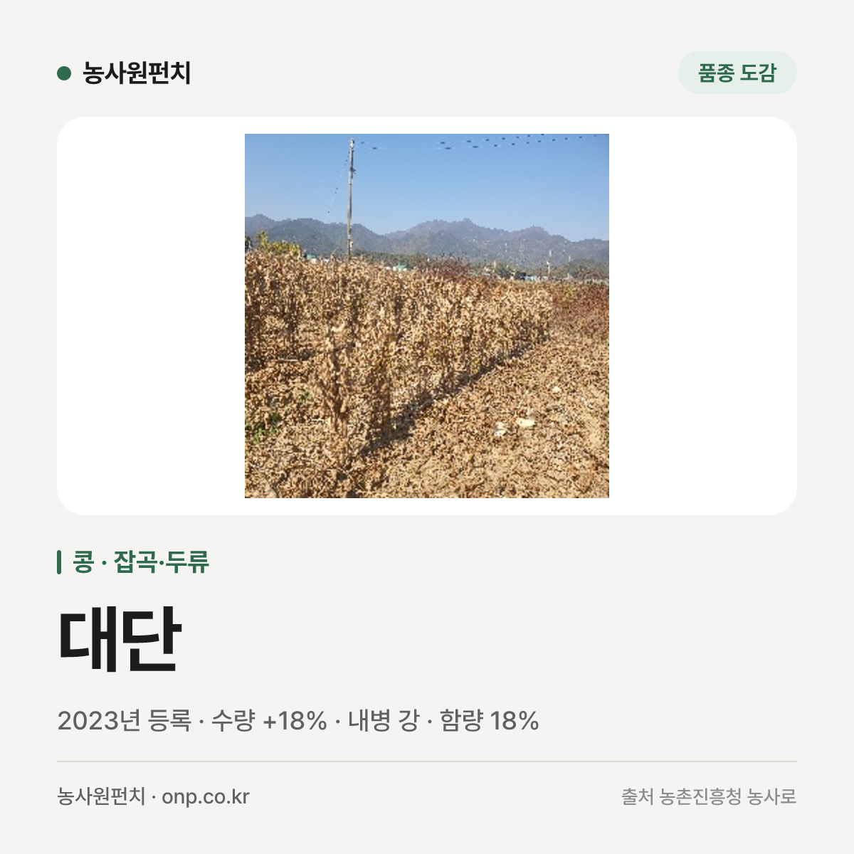 대단