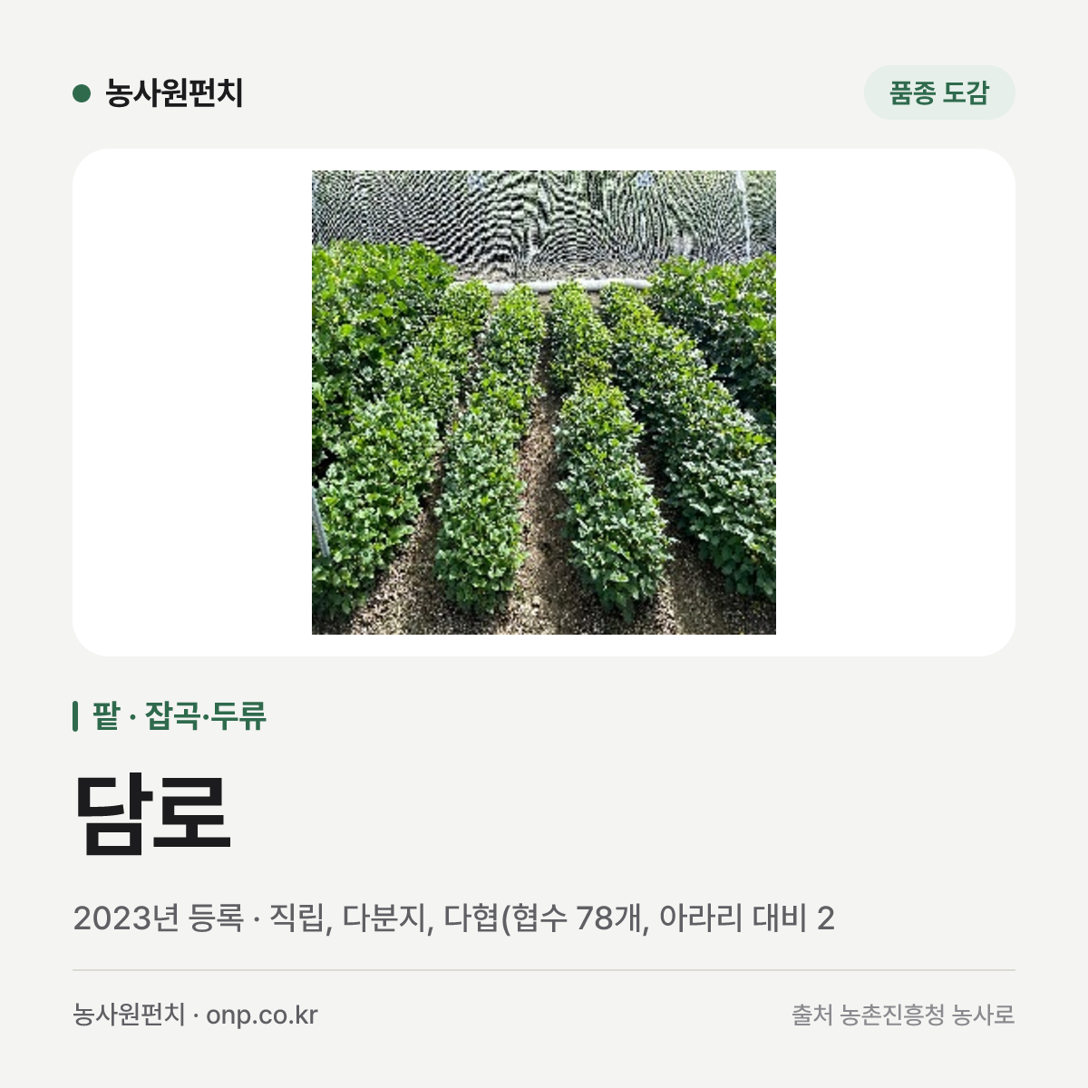 담로