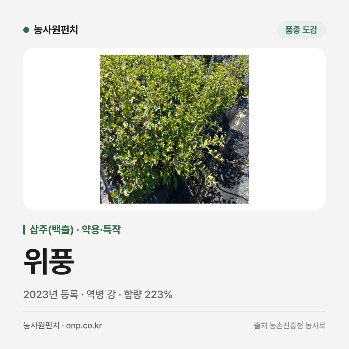 위풍