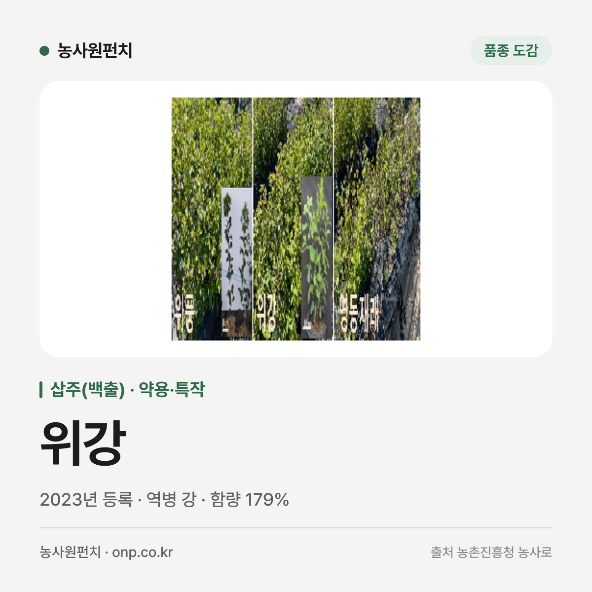 위강