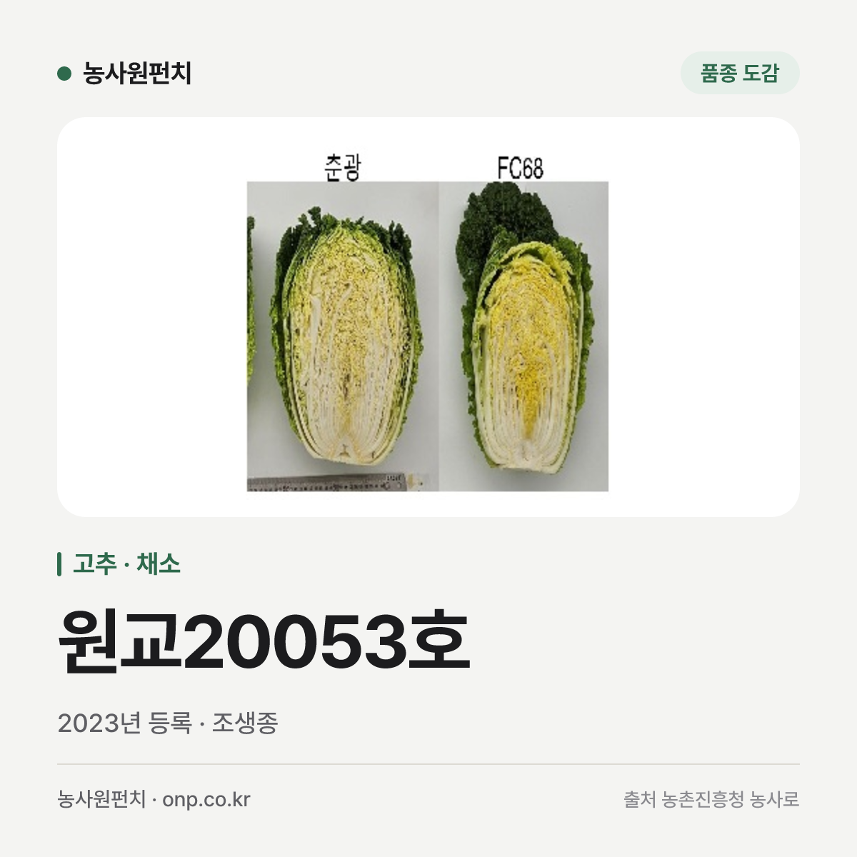 원교20053호