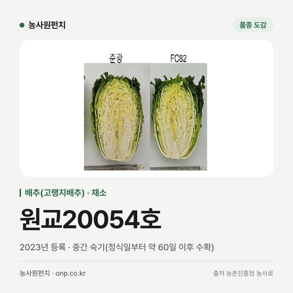 원교20054호