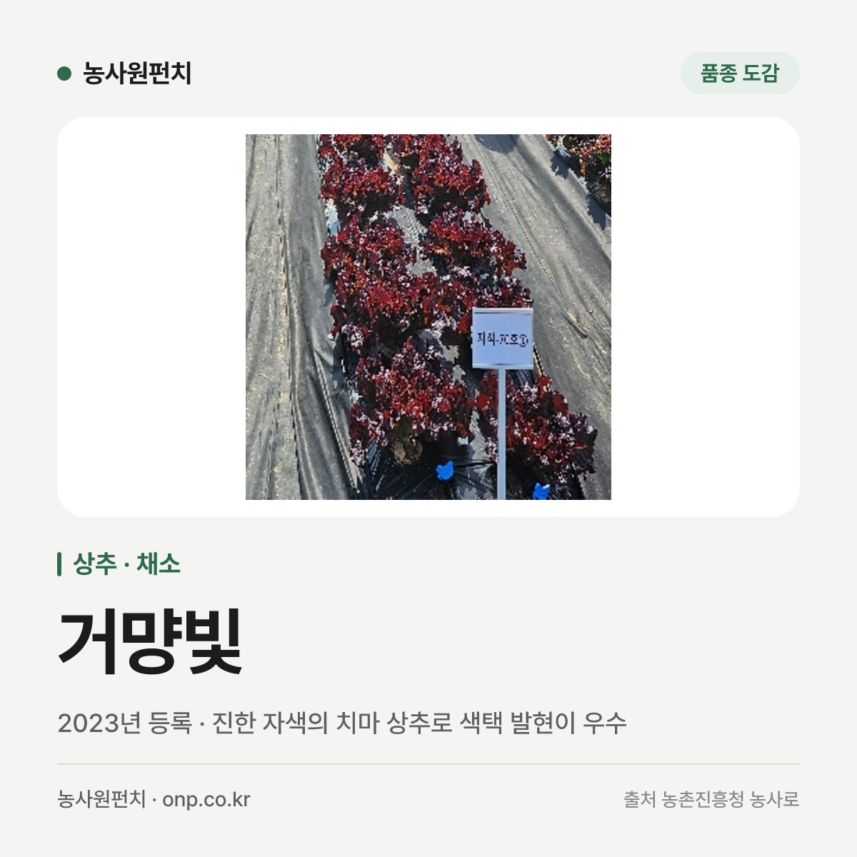 거먕빛
