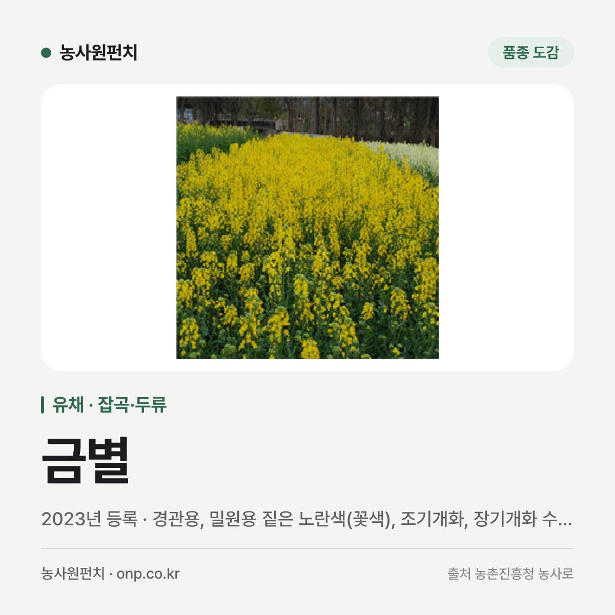 금별