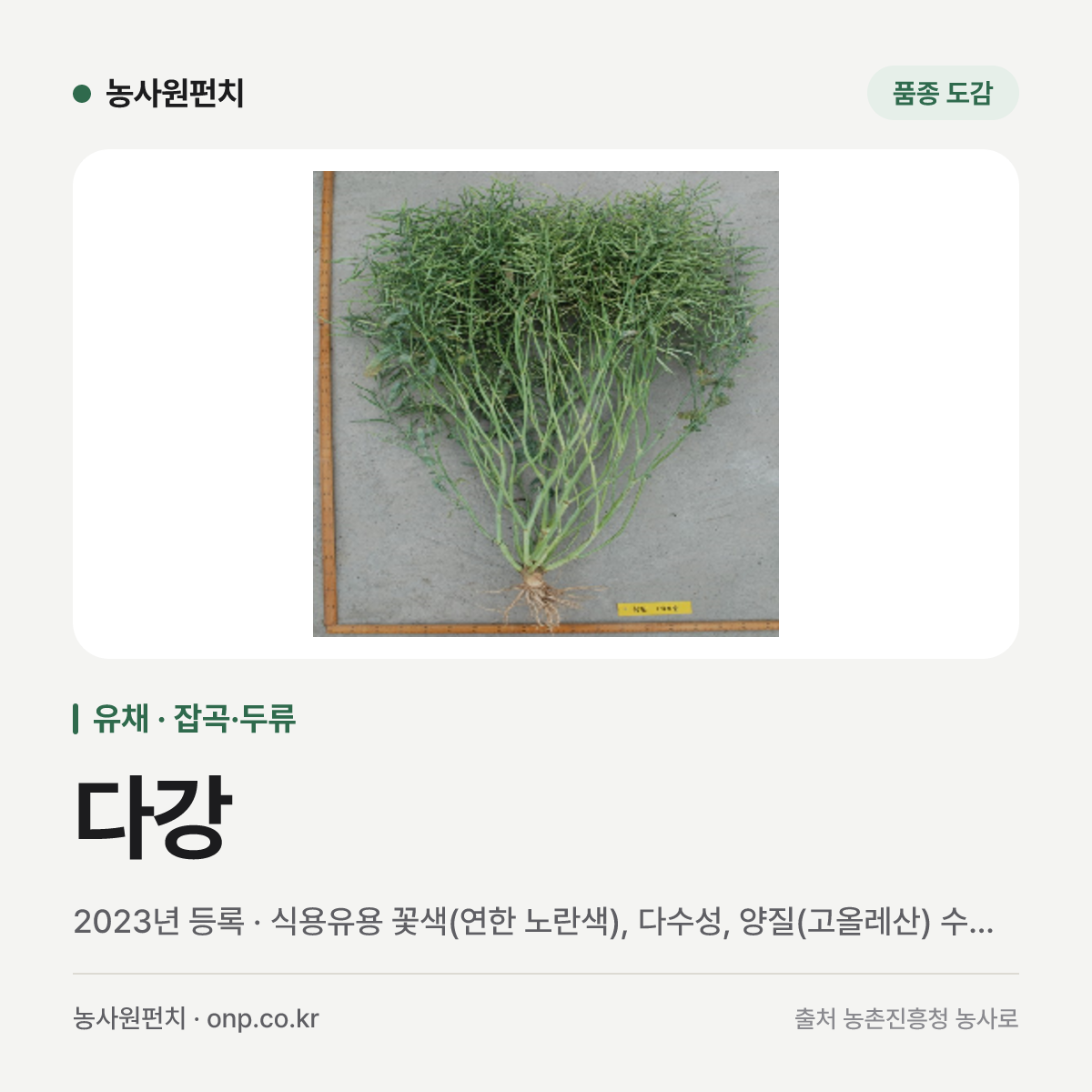 다강