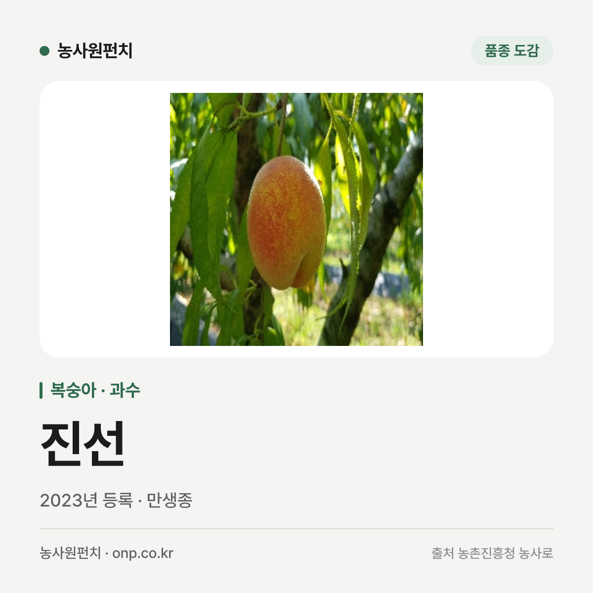 진선
