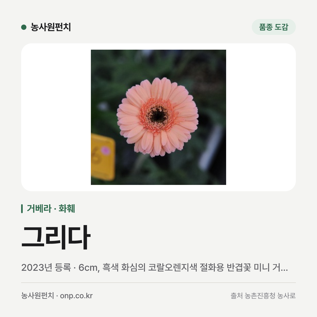 그리다