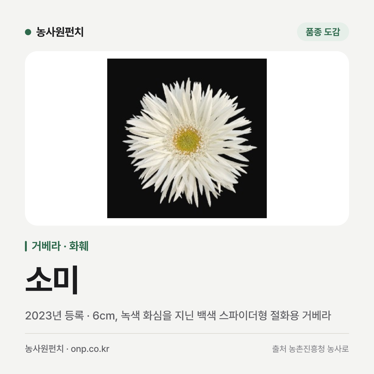 소미