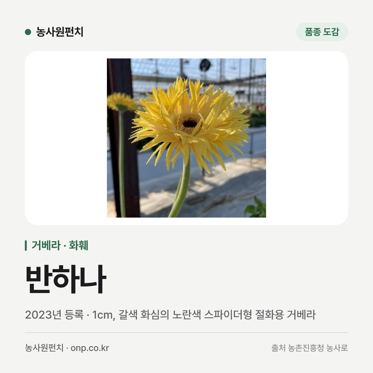 반하나